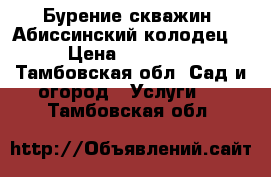 Бурение скважин (Абиссинский колодец) › Цена ­ 15 000 - Тамбовская обл. Сад и огород » Услуги   . Тамбовская обл.